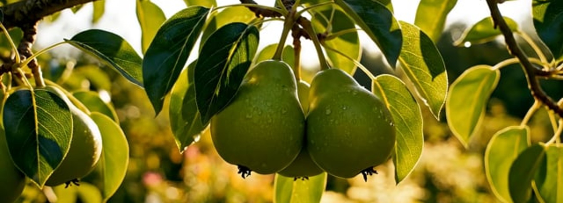 Eerst zaaien, dan plukken